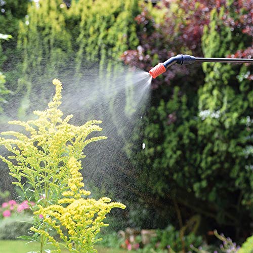 Garden Pressure Sprayer (5 litres, 1 Qty, Color May Vary)