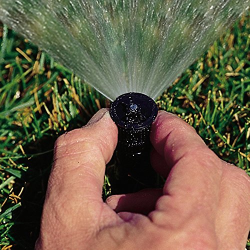 Rotor Sprinkler Rainbird with Micro Irrigation Spray