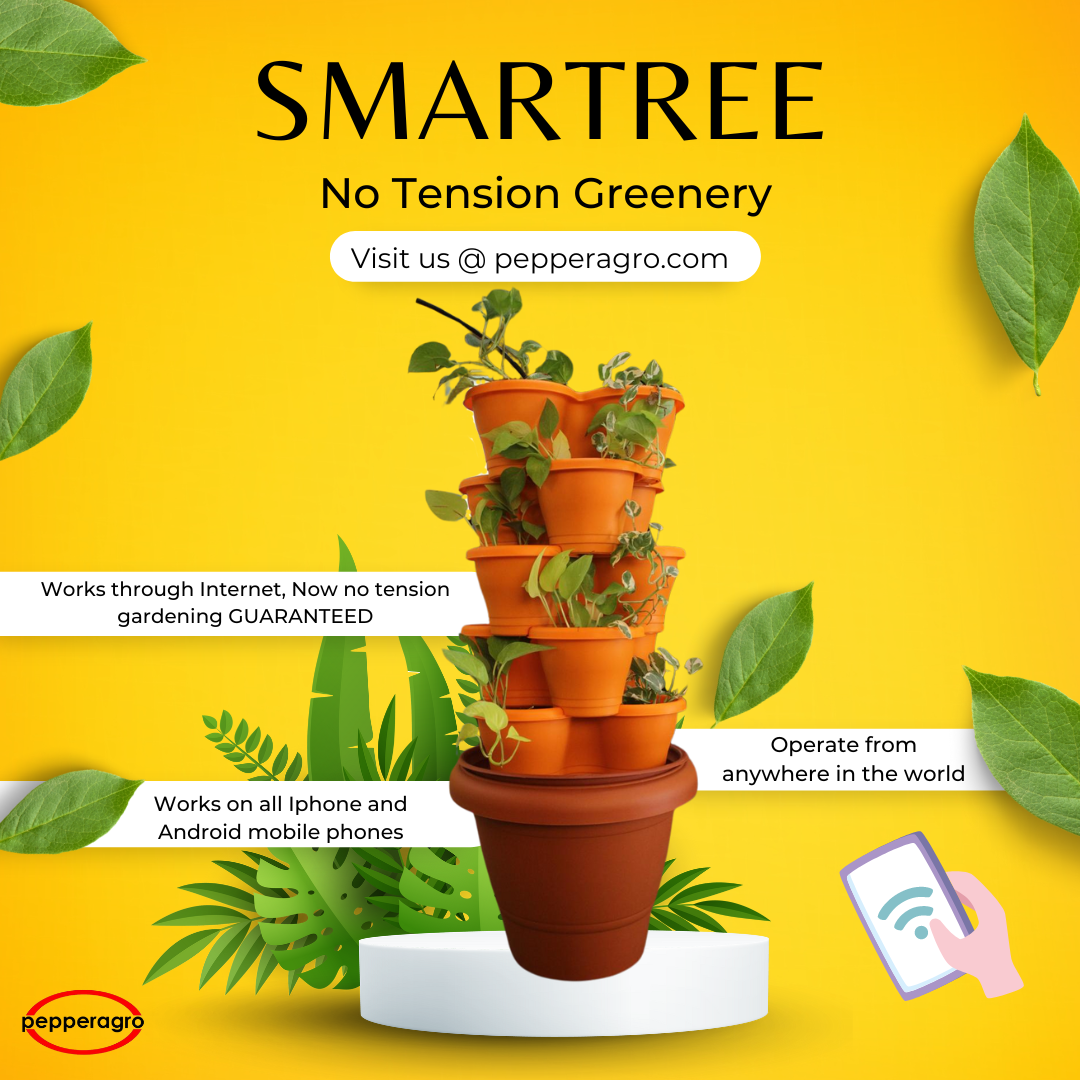 Introducing SMARTREE: No Tension Greenery